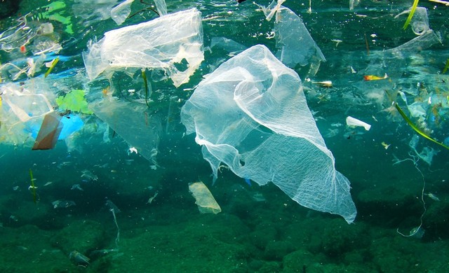 Việc lạm dụng, sử dụng sản phẩm nhựa, nhất là túi nilon khó phân hủy, sản phẩm nhựa dùng một lần đã và đang để lại những hậu quả nghiêm trọng đối với môi trường. Ảnh minh họa